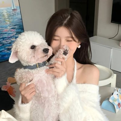 高能少年团第一季